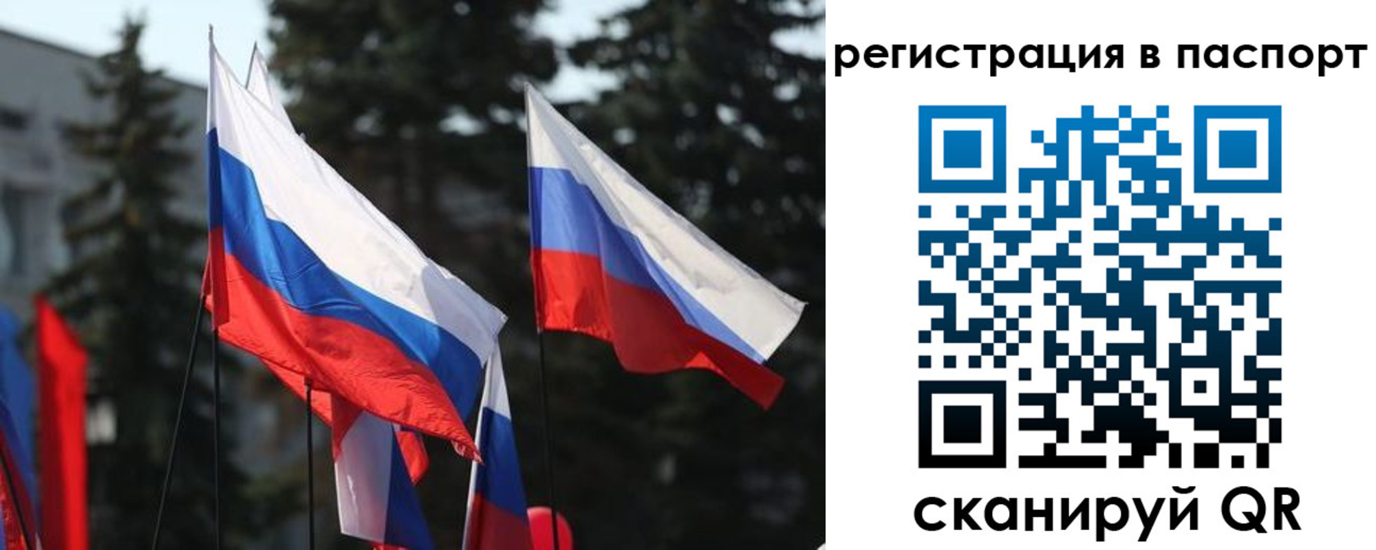 прописка штамп в Ковылкино